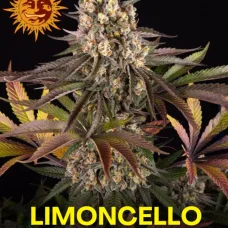 Limoncello